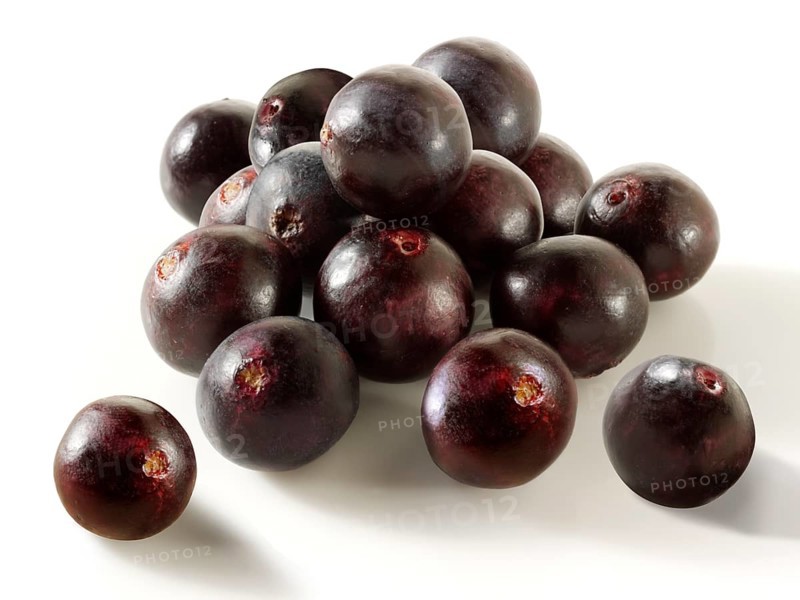 Fresh whole Acai berries (Euterpe oleracea)