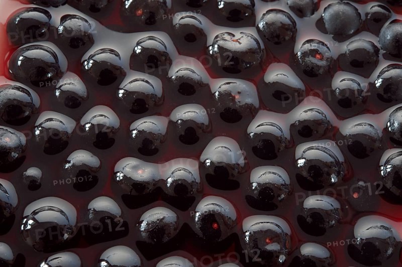 Fresh whole Acai berries (Euterpe oleracea)