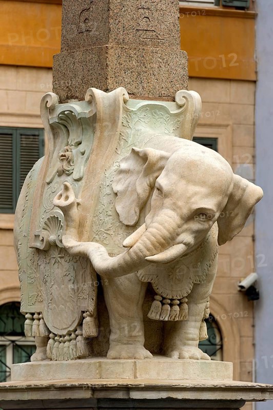 Pulcino della Minerva