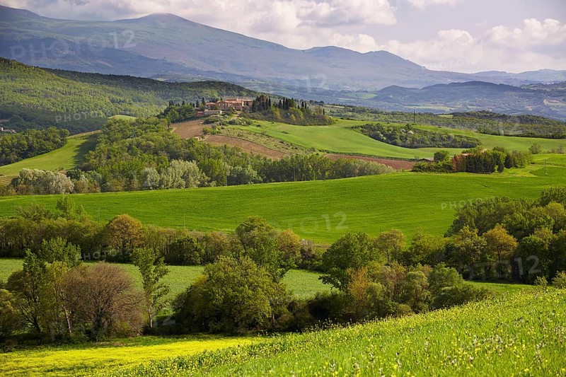 Hilly landscape of the Crete Senesi region