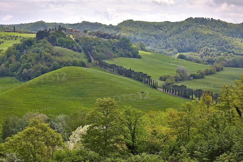 Hilly landscape of the Crete Senesi region
