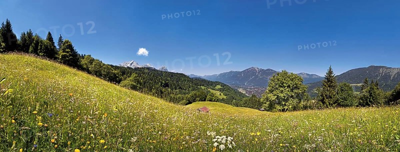 Green meadow on Eckbauer Mountain