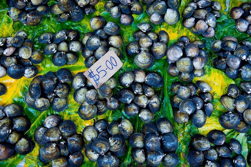 Mussels for sale at the market hall
