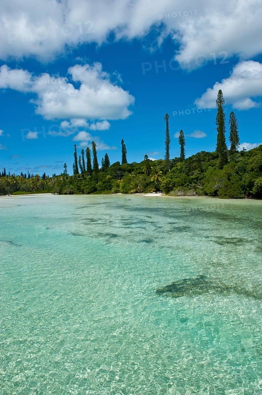Bay de Oro