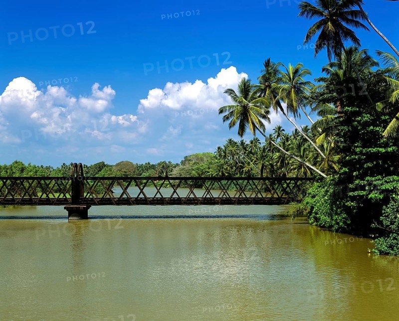 Railway bridge over a river