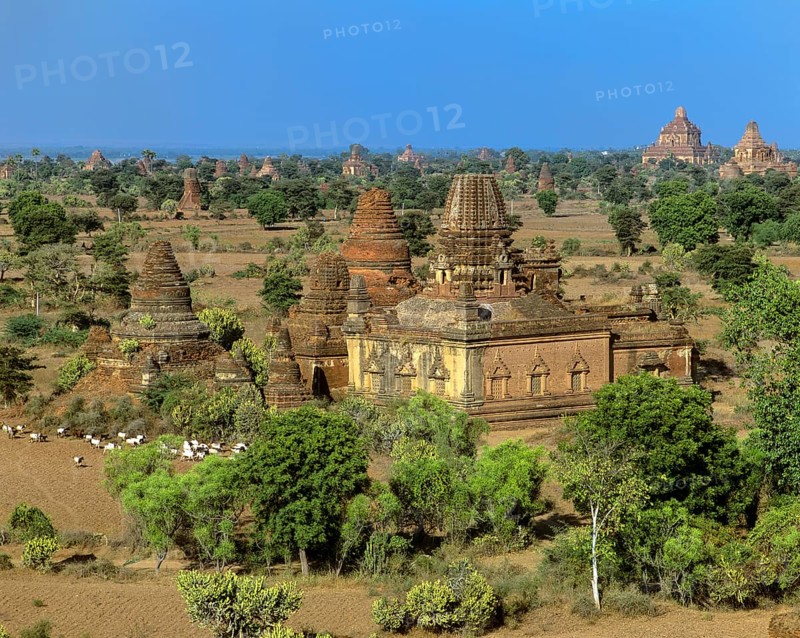 Field with ruins of Buddhist pagodas and temples