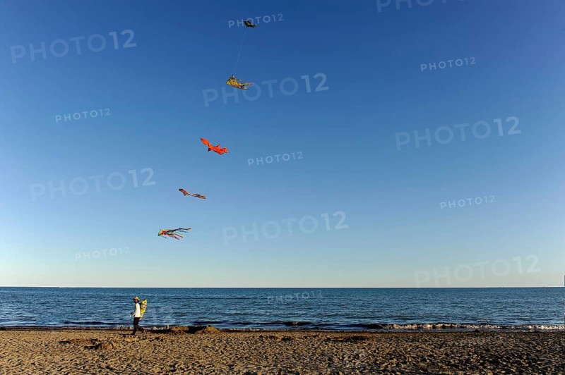 Man with many kites on the beach