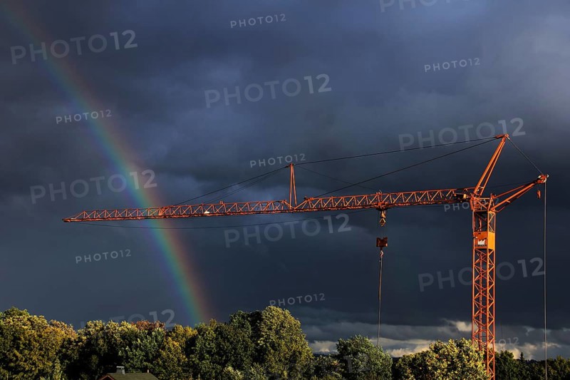 Crane in front of a rainbow