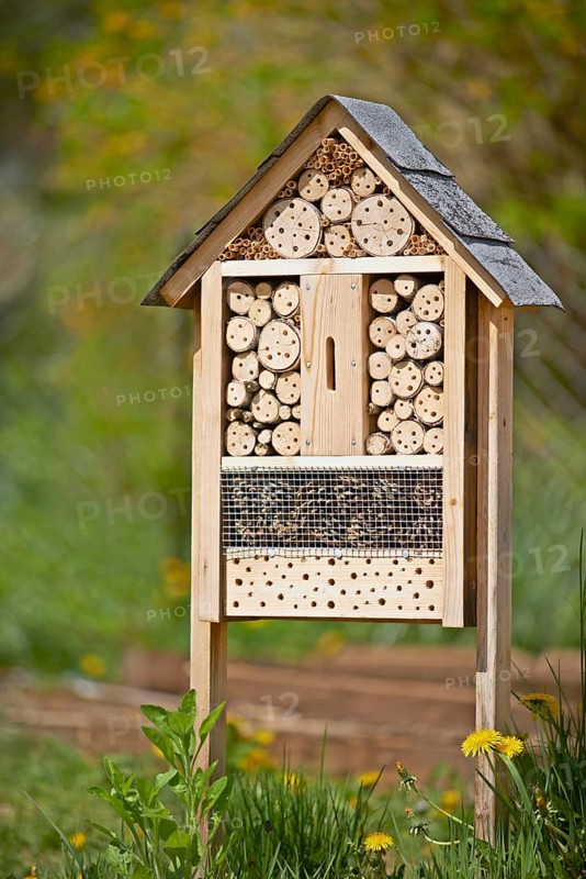 Insect hotel