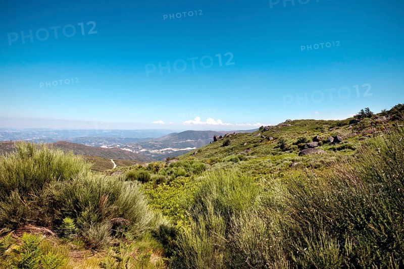Landscape in the Douro region