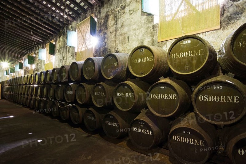 Oak barrels in a wine cellar in the Osborne Bodega