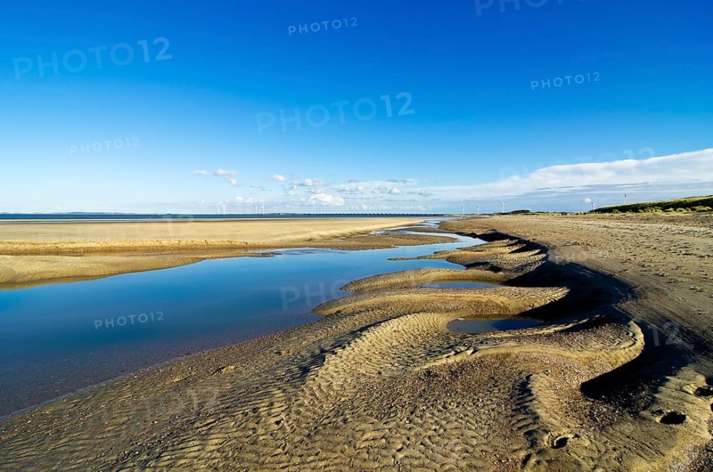 Landscape with dunes in the Deltapark region