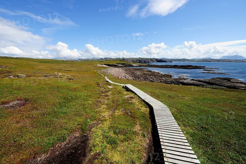 Boardwalk leading through the marshy areas around the island of Handa