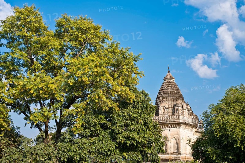 Parvati temple amidsts trees
