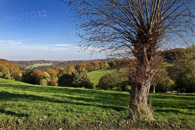 Autumnal landscape in Elfringhauser Schweiz region