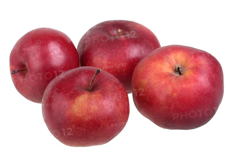 Apple variety Danzig Kant