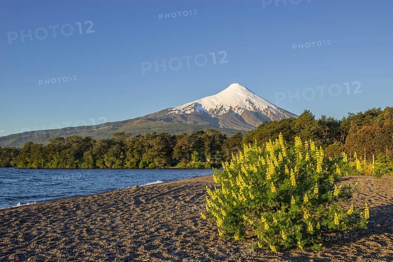 Osorno volcano and the shore of the bay of Lake Llanquihue