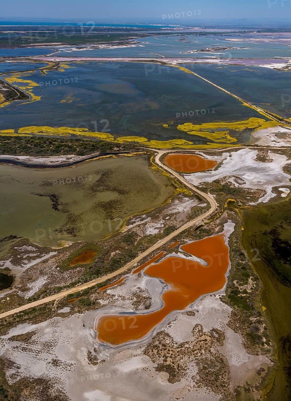 Salt patterns on the surface of salt marshes