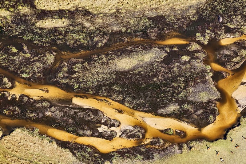 Freshwater marshes with sandy streams