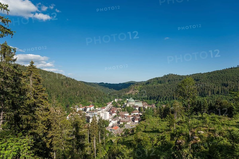 View from Mt Weissenstein