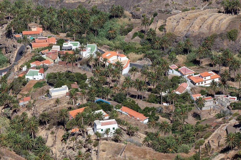 View from the Mirador of houses and the palm grove of Taguluche