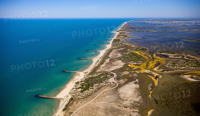 Mediterranean coast
