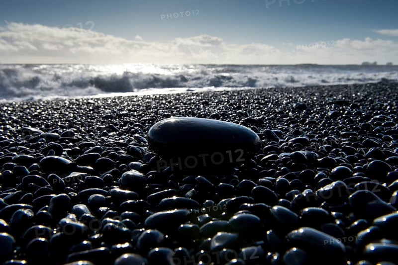 Surf