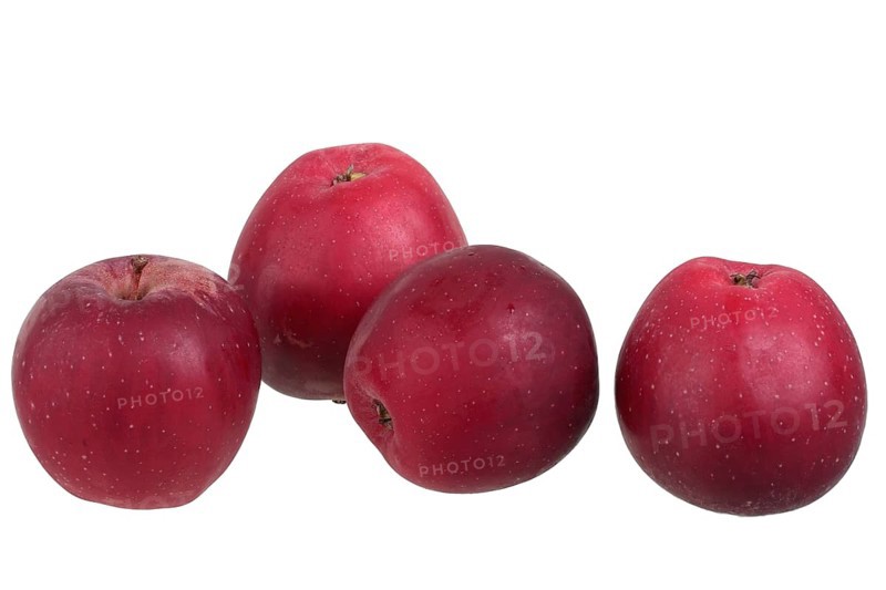 Apple variety New Bernese Rose Apple