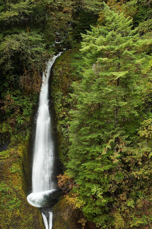 Waterfall at the Eagle Creek Trail