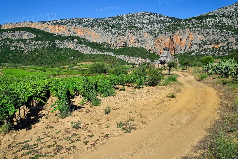 Shepherd's cottage in a vineyard