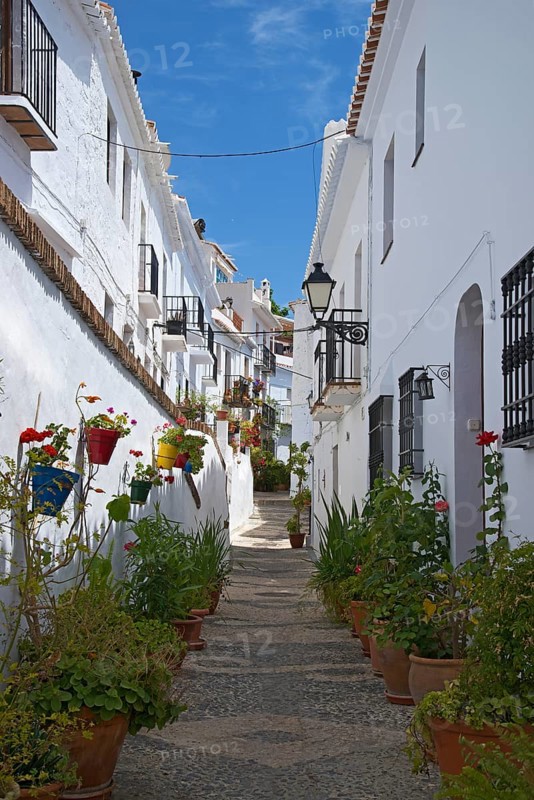 Alley with potted plants
