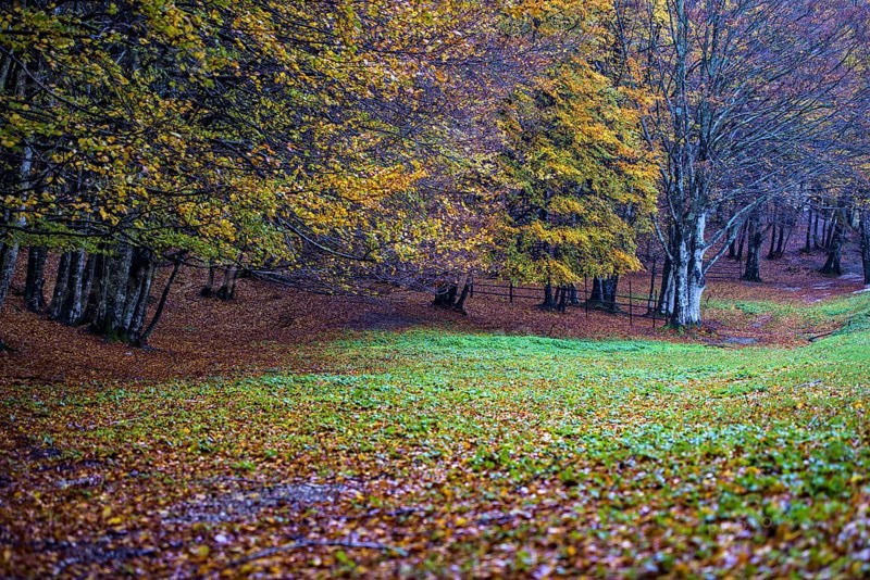 Autumn on Pian delle Macinare