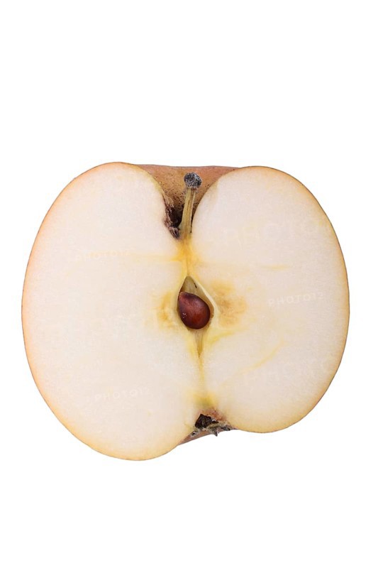 Apple variety Berlepsch