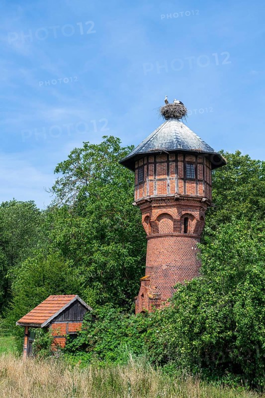 Young White storks (Ciconia ciconia) in the nest on the roof of a water tower in the village Ruhstadt