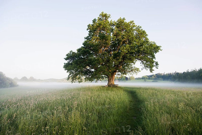 Morning atmosphere