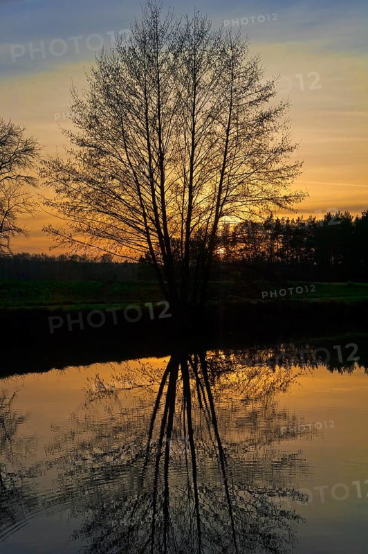 Evening atmosphere