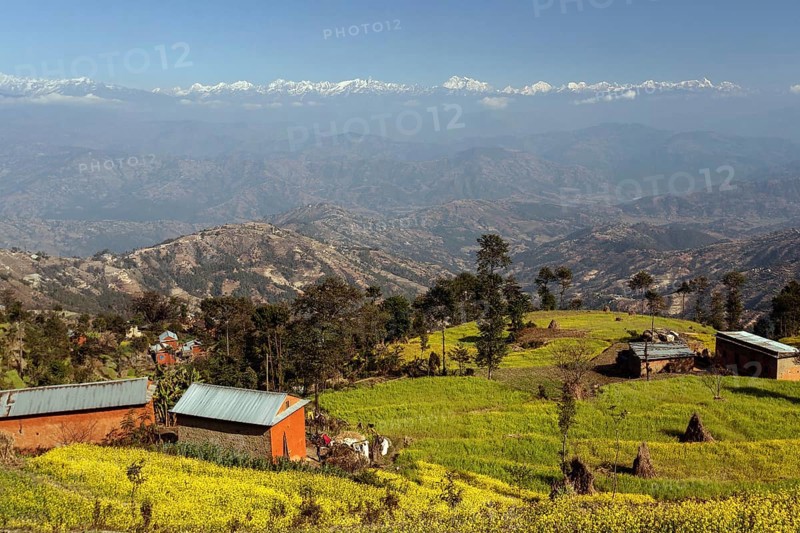 View of terraced fields and the mountains of the Himalayas