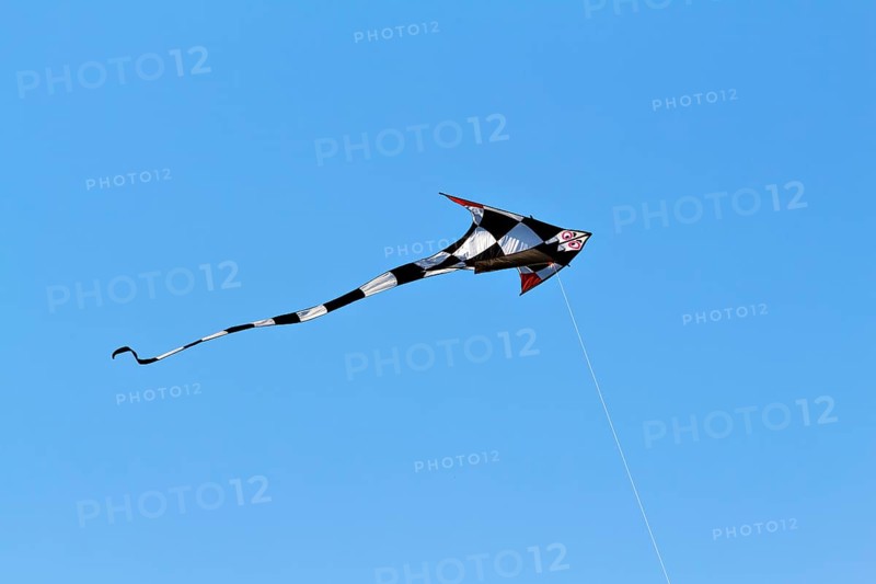 Black and white checkered kite with red wing tips flying in a blue sky