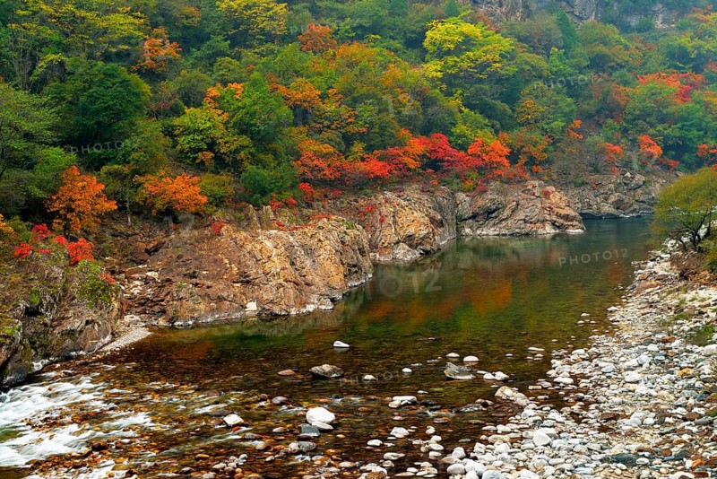 Black River in autumn landscape