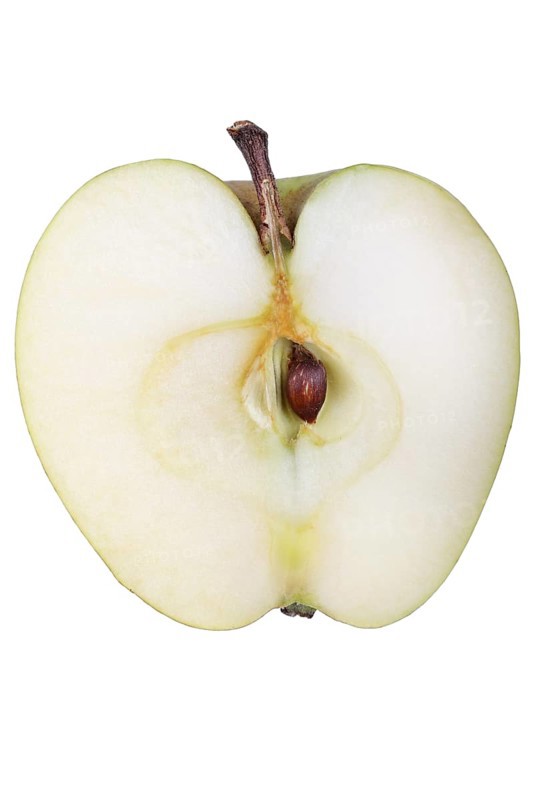 Apple variety Yellow Saxon Reinette