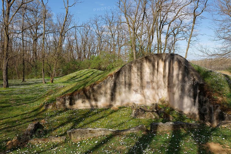 Late Bronze Age burial mounds in the Schussenwald forest