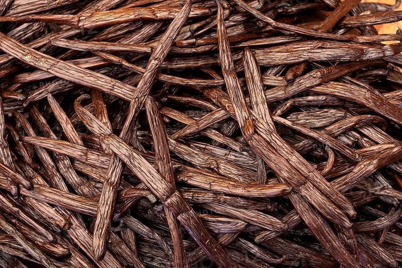 Vanilla pods (Vanilla planifolia)