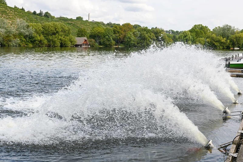 Ventilation of Lake Max-Eyth due to fish mortality