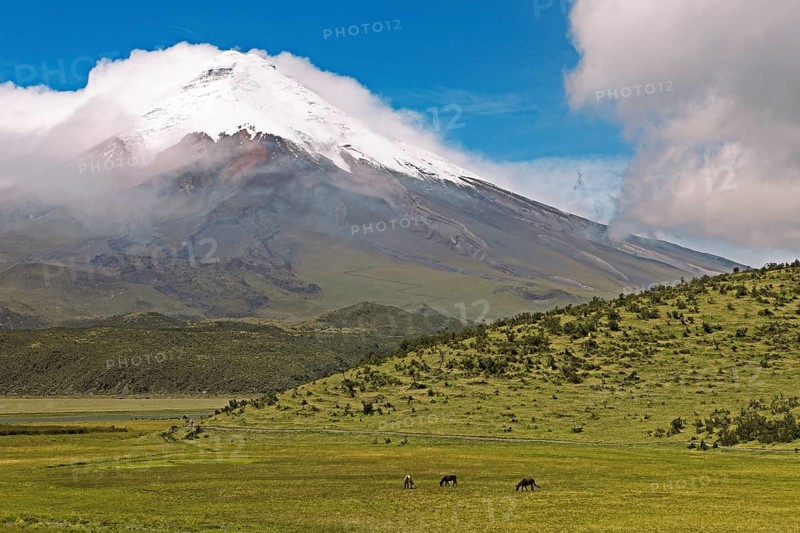 Snow-covered summit of Cotopaxi volcano rises from a cloud cover