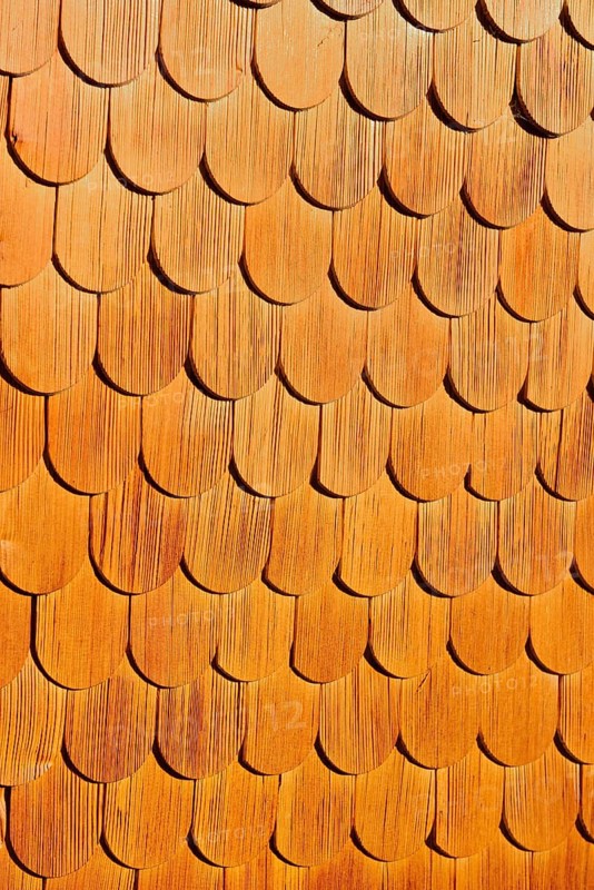 Larch shingle facade