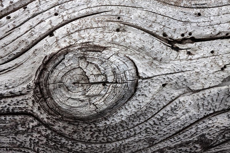 Old faded tree trunk