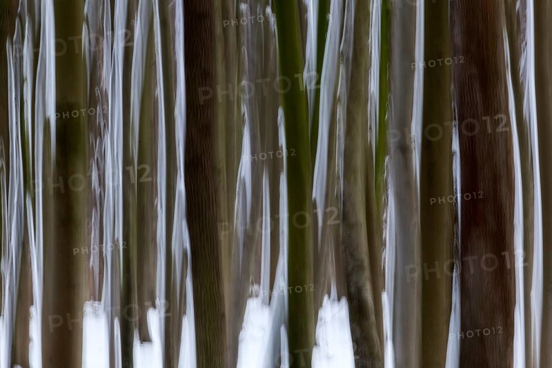 Distorted