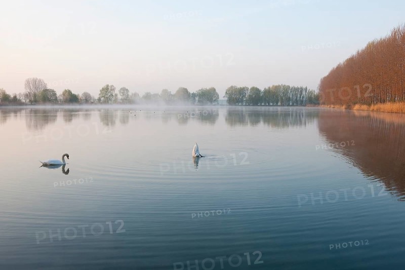 Ponds