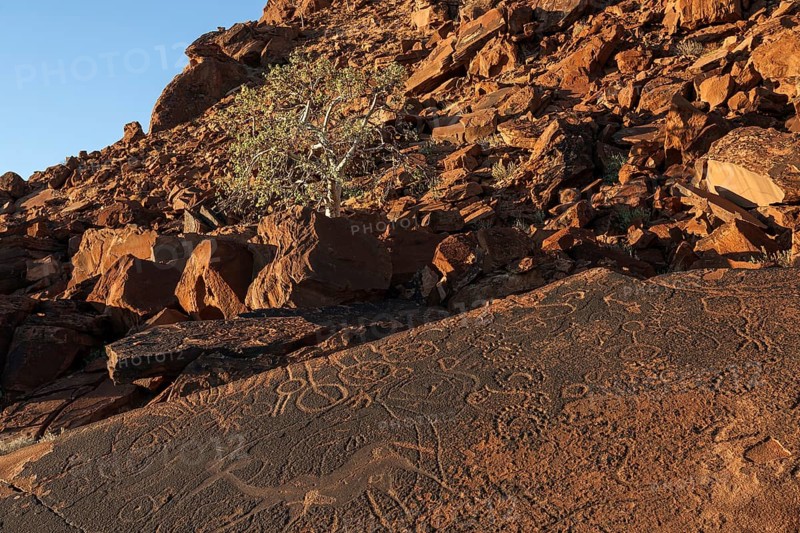 Rock drawings