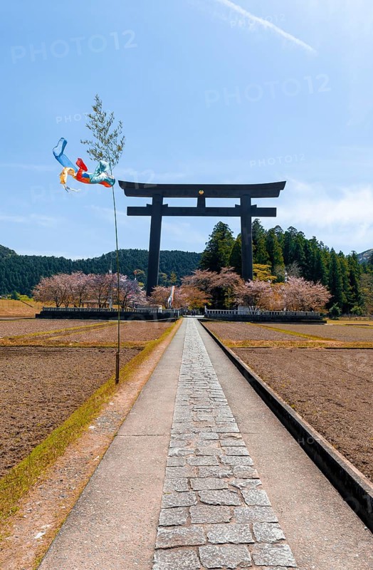 Largest Torii in the world